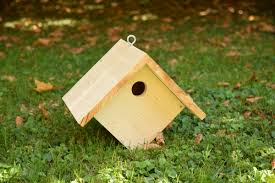 C'est pour cela qu'il est conseillé d'appliquer de l'huile de lin sur toutes parties en bois, même le nichoir et le perchoir qui. Fabriquer Un Nichoir Pour Les Oiseaux Du Jardin La Gazette Bio