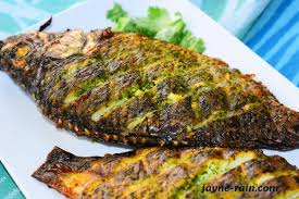 oven grilled tilapia fish recipe