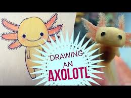 Download this cute brown mexican axolotl cartoon aquarium animal vector illustration now. Drawing An Axolotl Youtube