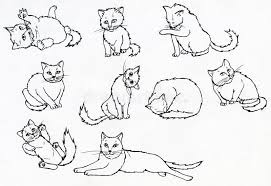 Ink animal drawings cats and more. Set Of Ink Drawn Cats Stock Illustration Illustration Of Illustrations 33020916