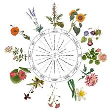 Some cancer astrology sign is so shy that their worst fear is rejection; The Lunar Phases And Your Full Moon Rituals For Beauty