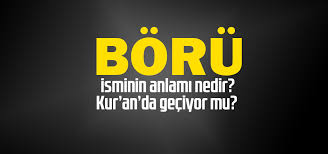 34 50 telsiz kodlu börü hakkında bilmeniz gereken her şeyi listeledik. Boru Isminin Anlami Nedir Boru Ne Demektir Kuranda Geciyor Mu
