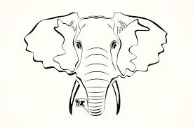 Elephant cartoon drawing, elephant head outline, mammal, face png. Free Elephant Outline Pictures Clipartix