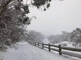 Armidale holiday rentals armidale holiday packages flights to armidale armidale restaurants armidale attractions. Winter Winds Chill Snow Rain Forecast The Armidale Express Armidale Nsw