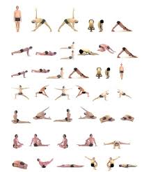 Hatha is gentle, a little on the slower side, and encourages students to focus on proper alignment and form to support their bodies. Hot Yoga Poses Basic Yoga Poses Relaxing Yoga Poses Hatha Yoga Poses