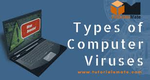 As an amazon associate i earn from qualifying purchases. Types Of Computer Viruses Tutorialsmate