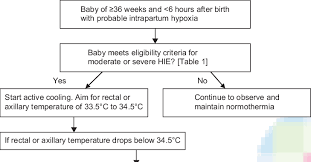 flow chart for commencing therapeutic hypothermia remove any