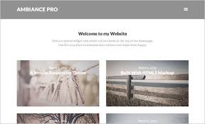 Unlimited downloads of wordpress themes and templates. 29 Best Wordpress Themes For Artists 2021