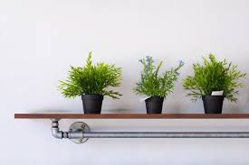 Check spelling or type a new query. Start Your Own Pinterest Perfect Indoor Garden Vitacost Blog