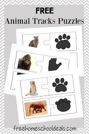 Tierspuren vektor kostenlos 26 596 gratis downloads. 82 Scouten Ideen In 2021 Tierspuren Waldschule Tiere