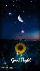When we share good night love. 240 Good Night Ideas In 2021 Good Night Good Night Sweet Dreams Good Night Greetings
