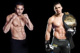 6′ 5″ (1.96 m) weight: Statistieken Voor Het Kickboksgevecht Rico Verhoeven Vs Badr Hari Man Man