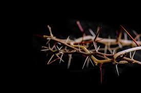 The second reliquary of the holy crown of thorns, which has been offered to the notre dame de paris by. Crown Thorns Images Free Vectors Stock Photos Psd