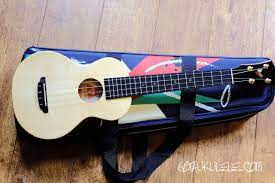 Upright storage for ukelele or mandolin instrument, white, black holder, red, blue etc. The Rebel Cheesecake Super Concert Ukulele Review