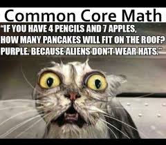 Common Core Cat Math Meme Funny Laugh Funny Animal Memes Funny Animal Pictures