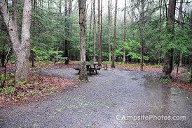 There are 77 campsites with electric hookups. Locust Lake State Park Campsite Photos Campsite Availability Alerts