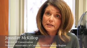 Jennifer Mckillop's Instagram, Twitter & Facebook