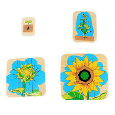 Check spelling or type a new query. Kids Montessori Wooden Toys 3d Puzzle Life Cycle Of Animals Plant Chock Frog Butterfly Sunflower Man Woman Baby Toy For Infant Puzzles Aliexpress