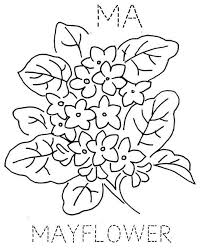 Massachusetts Mayflower Embroidery State Flowers Etc Ribbon Embroidery Floral Embroidery Patterns Und Embroidery Patterns