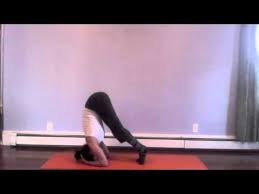 Pin By Elena Hansen On Fitness For E How To Do Yoga Headstand Yoga Ashtanga Yoga