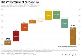 carbon emissions