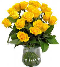 Yellow roses are traditionally given as a sign of warm and real friendship, joy, happiness and fuzzy feelings. Yellow Roses Meaning Send Flowers Worldwide