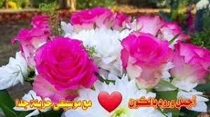 تصاميم ورود زهير عندما كانت تطلق على نفسها المتشرد. Ø²Ù‡ÙˆØ± ÙˆØ±ÙˆØ¯ Mp3