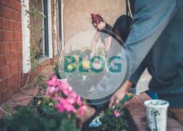 Maybe you would like to learn more about one of these? 15 Easy To Grow Flower Vegetable And Herb Seeds For August Capital Gardens