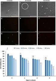 Take a second reading 30 min later. Establishment Of Long Term Ostracod Epidermal Culture Springerlink