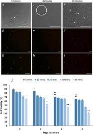 Our prayer is god, teach me your mercy culture. we cannot learn god's character or the culture of heaven without daily time in his word. Establishment Of Long Term Ostracod Epidermal Culture Springerlink