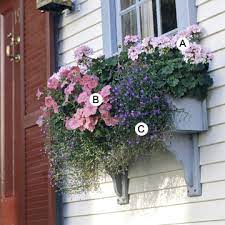 Window box plants window box flowers flower boxes window boxes summer container flowers container plants container. Easy Recipes For Beautiful Window Boxes In Sunny Spots Better Homes Gardens