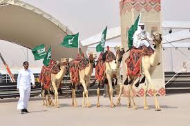 But now the festival has been hit by a scandal after judges claimed some owners had cheated in a bid to bag the cash prizes. The Fourth Edition Of Saudi Arabia S Renowned King Abdul Aziz Camel Festival Scheduled For November 1 About Her