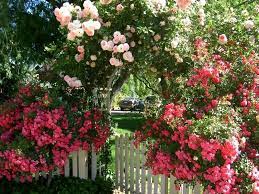 Secret Garden Gate Bloom Where You Are Planted Garden Gates Flowers