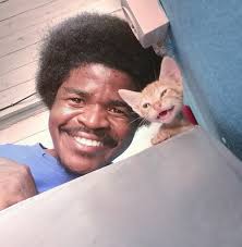 From Left to right) Mia and Wynston, aka Creeps and Colonizer. I love my  Colonizer like a good house negro, but I will never, ever, ever, ever,  ever, ever get another Sphynx. |