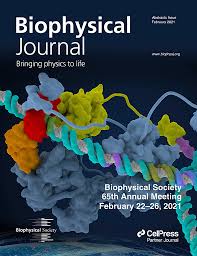 We did not find results for: Issue Biophysical Journal