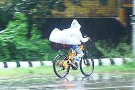 Mathrubhumi - News update