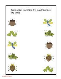 Preschool Bug And Insect Worksheets Bugs Preschool Insects Theme Preschool Insects Preschool