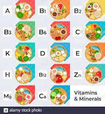 Mortola е., okuda m., ohno к., watari t., tsujimoto h., hasegawa а. Vitamine E Minerali Alimenti Illustrazione Vettore Set Di Vitamina Alimenti Ricchi Di Ferro Spinaci Semi Di Zucca Piselli Verdi Albicocche Immagine E Vettoriale Alamy