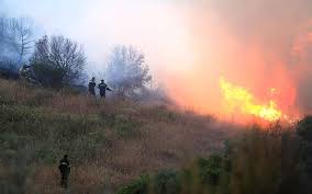 Peste 160 de pompieri se luptă cu focul în apropiere de atena. Grecia Patru LocalitÄƒÈ›i Din Apropierea OraÈ™ului Petras Au Fost Evacuate Din Pricina Incendiilor De PÄƒdure Care S Au Extins In ZonÄƒ