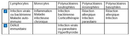 7 teneur en cholestérol dans l'alimentation. Le Quotidien Du Patient