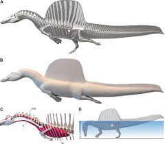 The Top 10 Slowest Dinosaurs Ever! – Nayturr