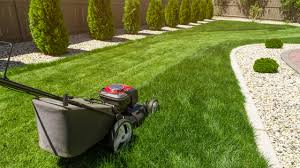 Here are the top pieces of lawn equipment. Top 3 Lawn Care Equipment Every Homeowner Should Have