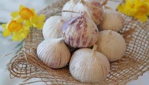 Garlic frid delicious garlic frid rasama rasa suduluna bayit preparing in village my life by village mom #village #my bread snacks malayalam. à´µ à´³ à´¤ à´¤ à´³ à´³ à´•à´´ à´š à´š à´² à´«à´²à´™ à´™à´³ à´± News In Malayalam