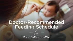 6 month old feeding schedule a doctor recommended plan