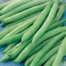 Maybe you would like to learn more about one of these? Bean Seeds Greencrop Bush Mckenzie Seeds