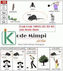 Erek Erek Tikus Di Buku Tafsir Mimpi Dan Kode Alam 2d 3d 4d Kode Mimpi