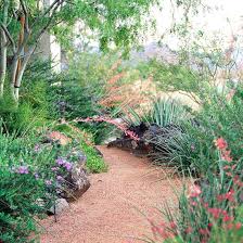 Whereas younger, smaller plants will suit the majority of homes. Easy Care Desert Landscaping Ideas Better Homes Gardens