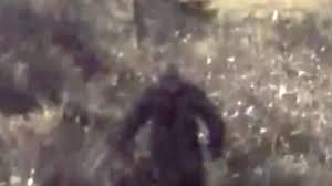 Paranormal Caught On Camera - S5 E3 GoPro Bigfoot and More - TRVL GO