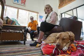Big heart pet brands was previously the pet food division of del monte foods prior to their 2014 sale to del monte pacific limited. Pet Treat Mystery More Dogs Dead 3 People Sick Fda Says