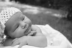 Wild & Free Photography